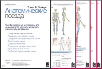 Плакаты Т.В. Маейрс Анатомические поезда 